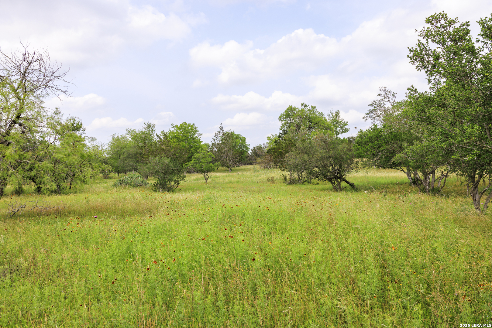 0 Clearwater Ranches 6 Comfort, TX 78013 - Photo 8 of 15