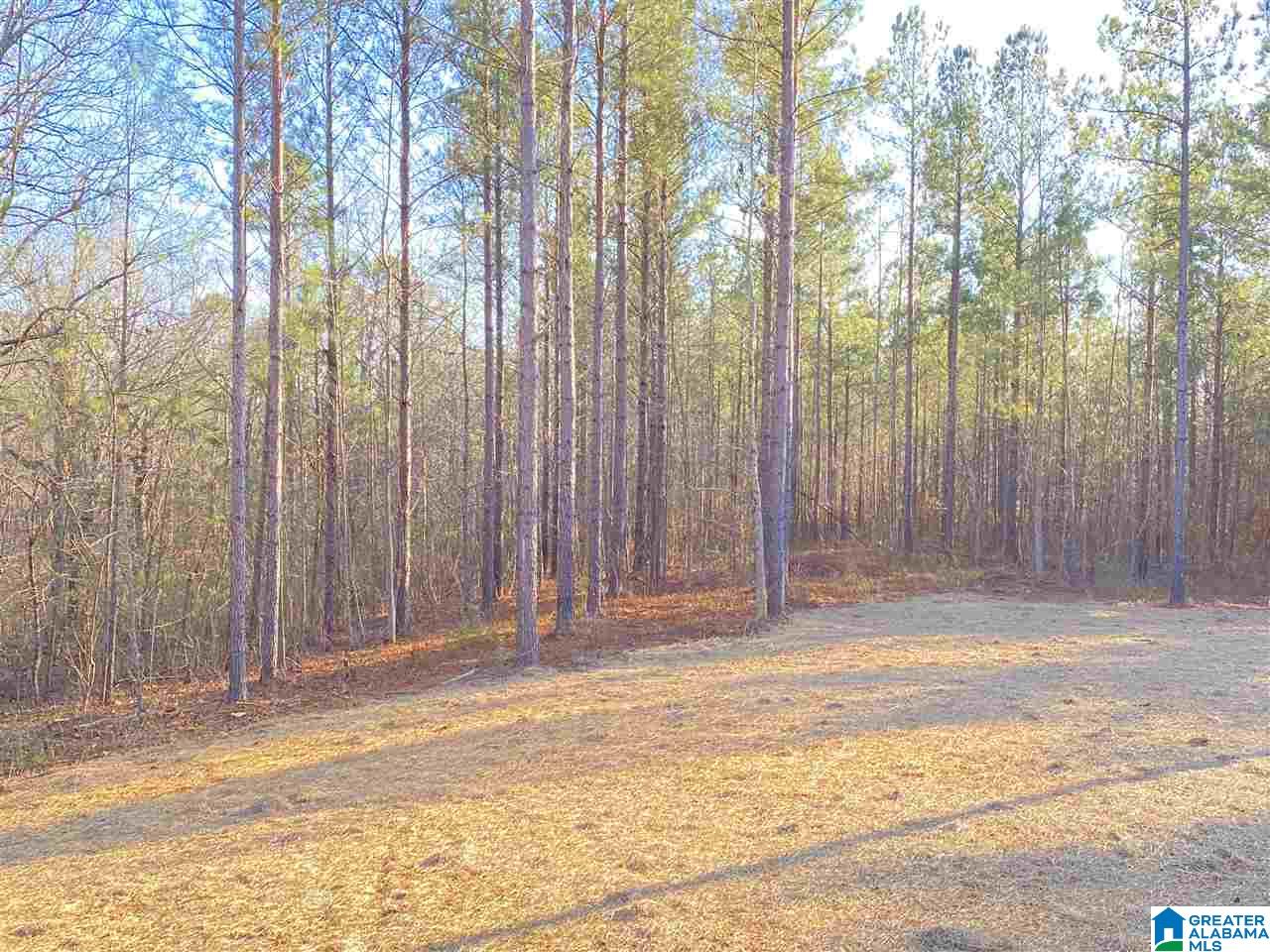 2140 Summit Park Road Odenville, AL 35120 - Photo 3 of 22