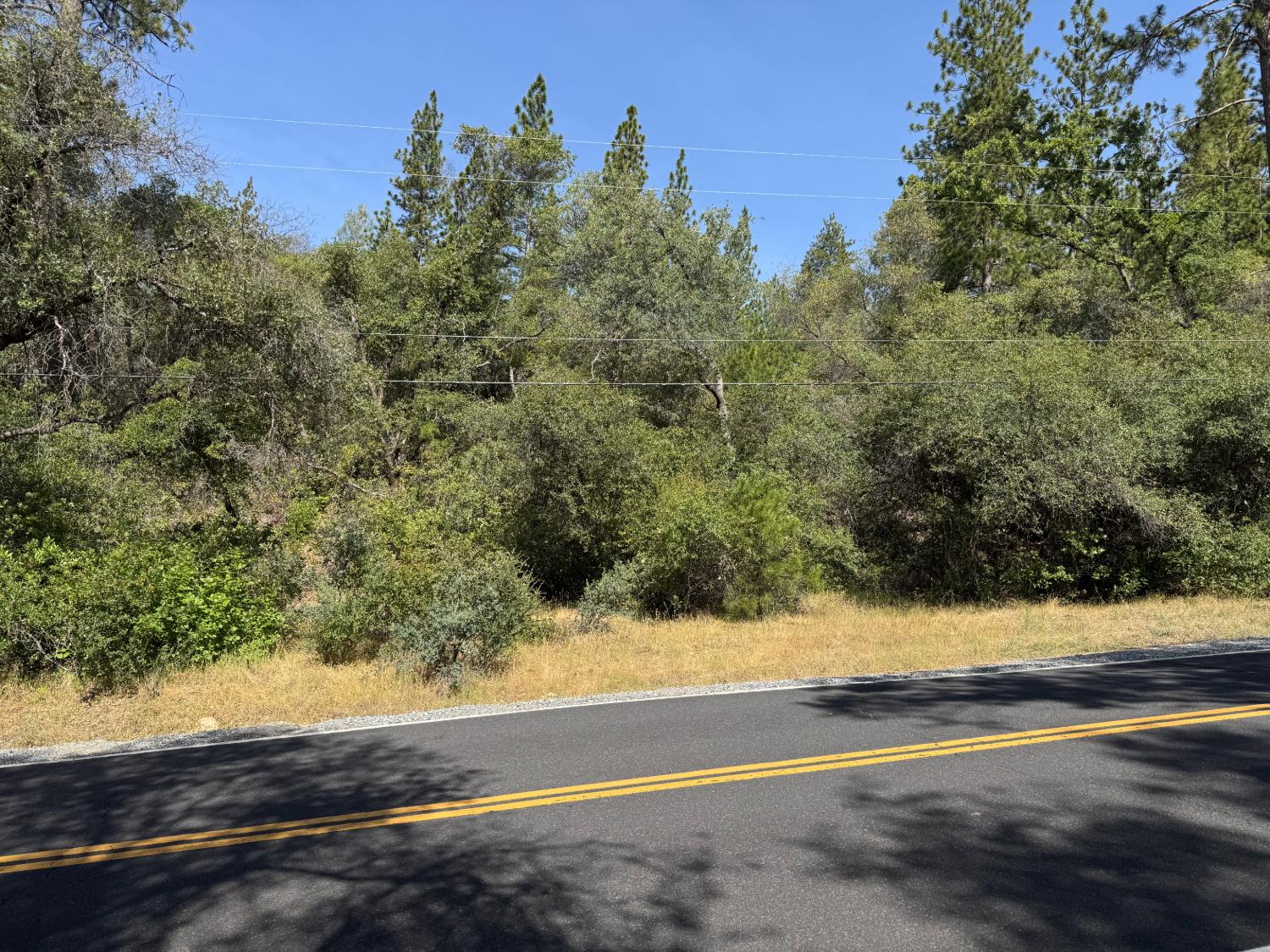 0 French Gulch Road Murphys, CA 95247 - Photo 18 of 19