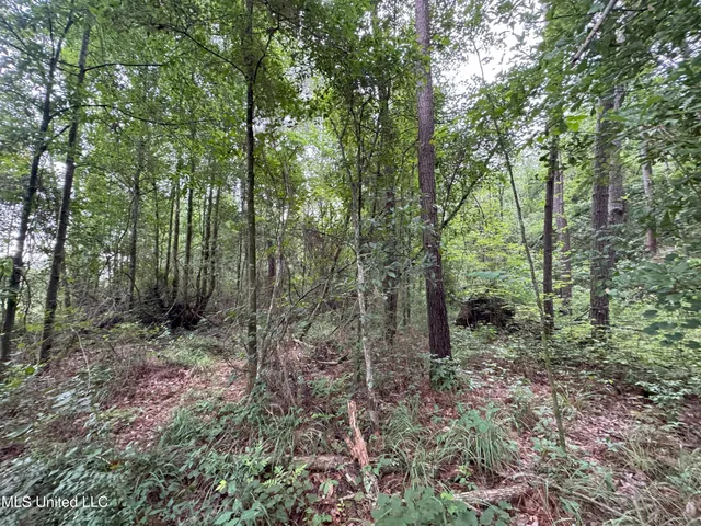 $46,280 | 32451 Chapel Pine Drive, Independence, LA 70443