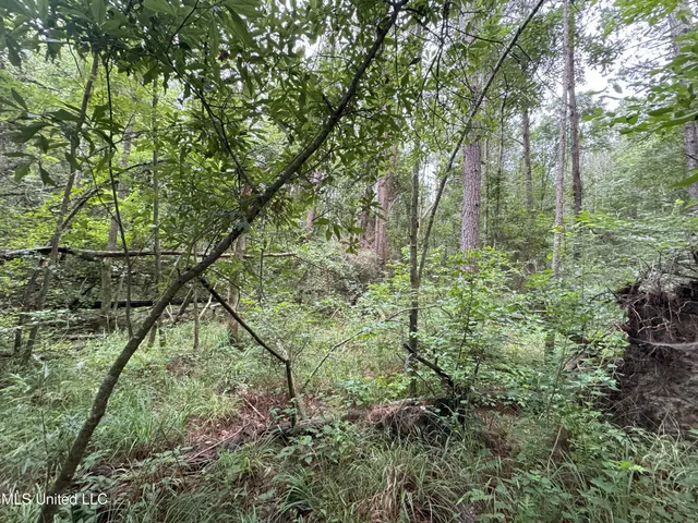 $46,280 | 32451 Chapel Pine Drive, Independence, LA 70443