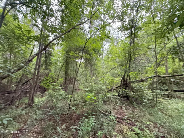 $46,280 | 32451 Chapel Pine Drive, Independence, LA 70443