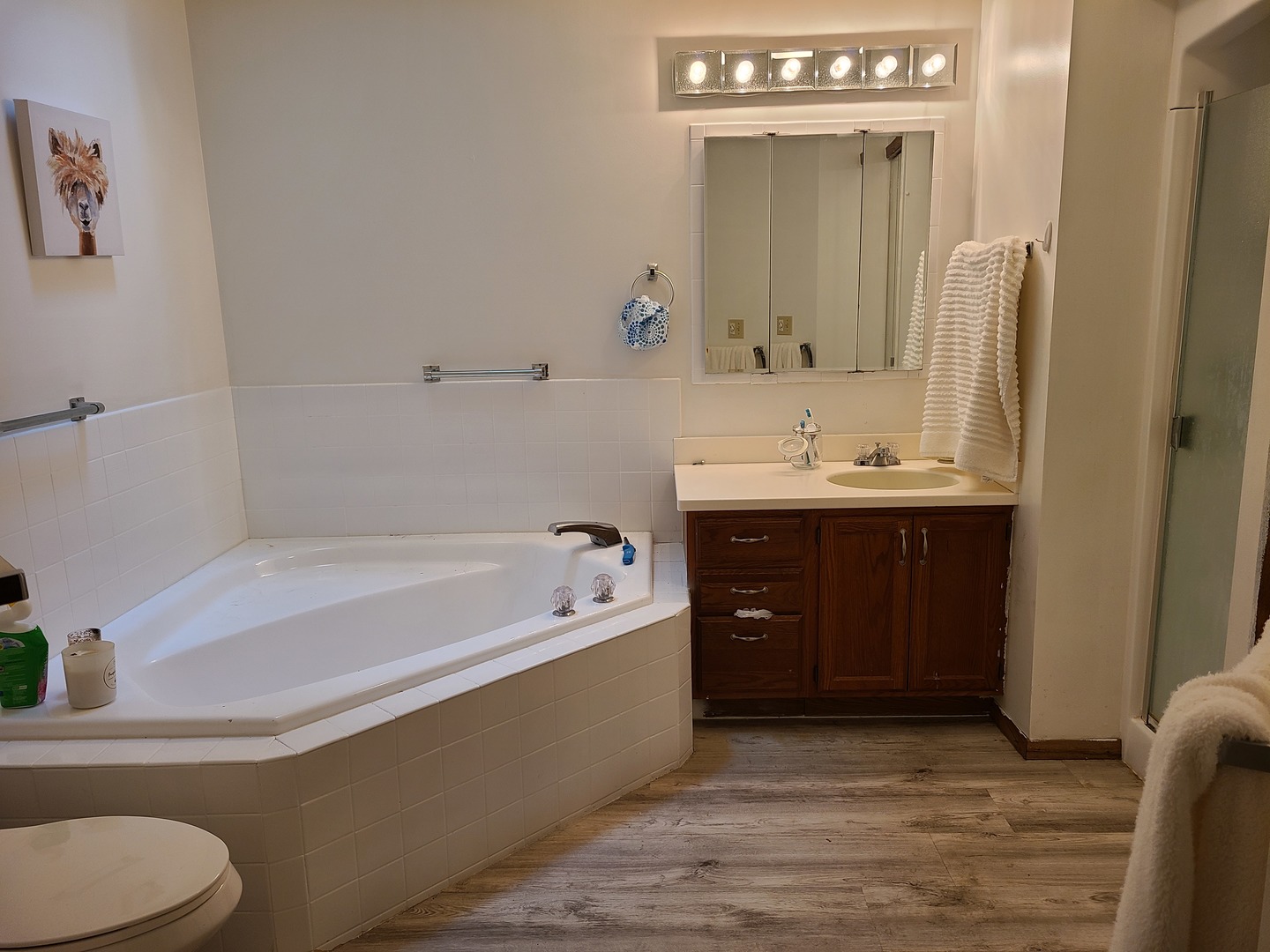 2001 Eagle Ridge Court, Unit A Urbana, IL 61802 - Photo 26 of 30 a spacious bathroom with a tub sink and mirror