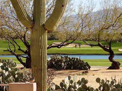 5244 Spring View Drive Tucson, AZ 85749 - Photo 7 of 9 Gallery Image 7