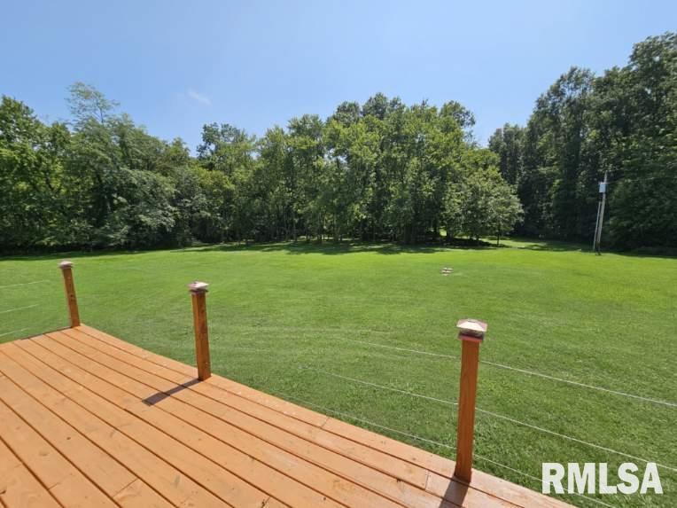 10623 East Richview Road Mount Vernon, IL 62864 - Photo 10 of 48 Gallery Image 10