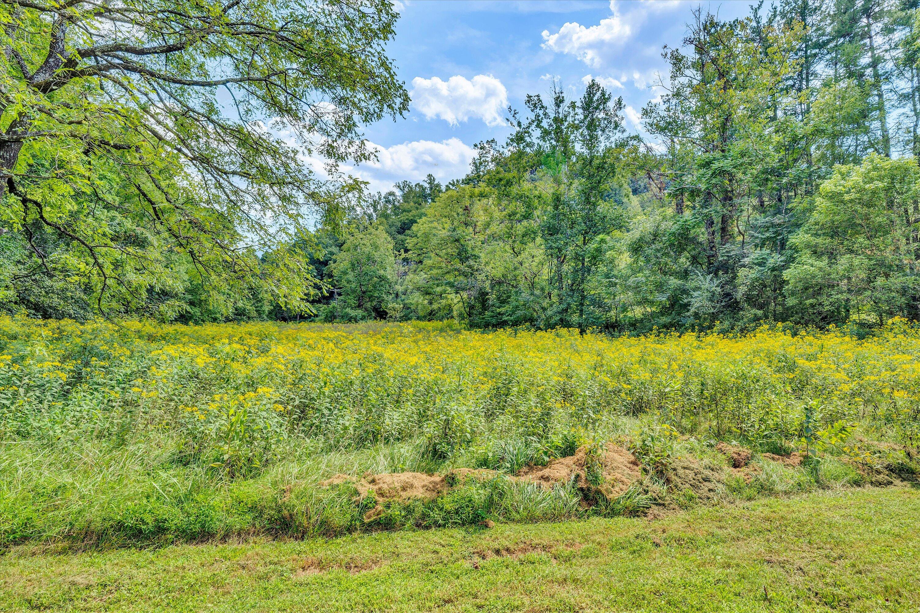 3305 Naff Road Boones Mill, VA 24065 - Photo 52 of 53 Right Side View