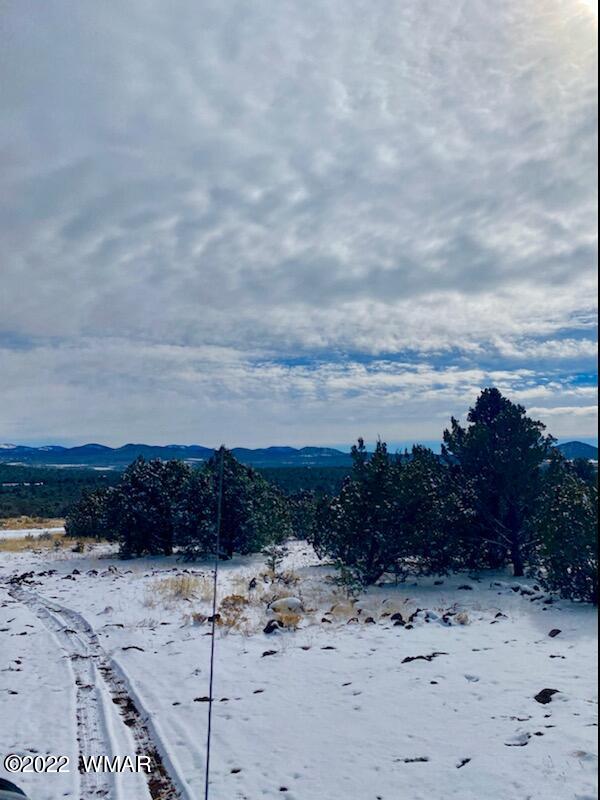 72 County Road Show Low, AZ 85901 - Photo 5 of 11