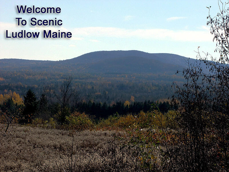 353 South Hemore Road Houlton, ME 04730 - Photo 11 of 35 lansingjones-ext9