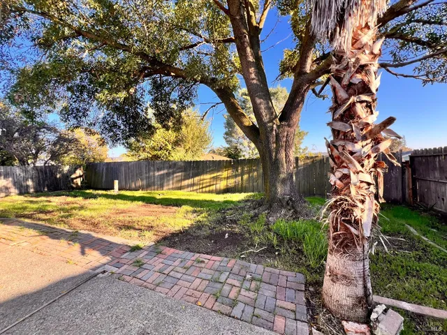 a view of a yard with plants and large trees