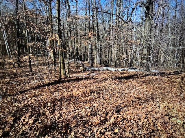 0 Camp Road Weyerhaeuser, WI 54895 - Photo 3 of 10