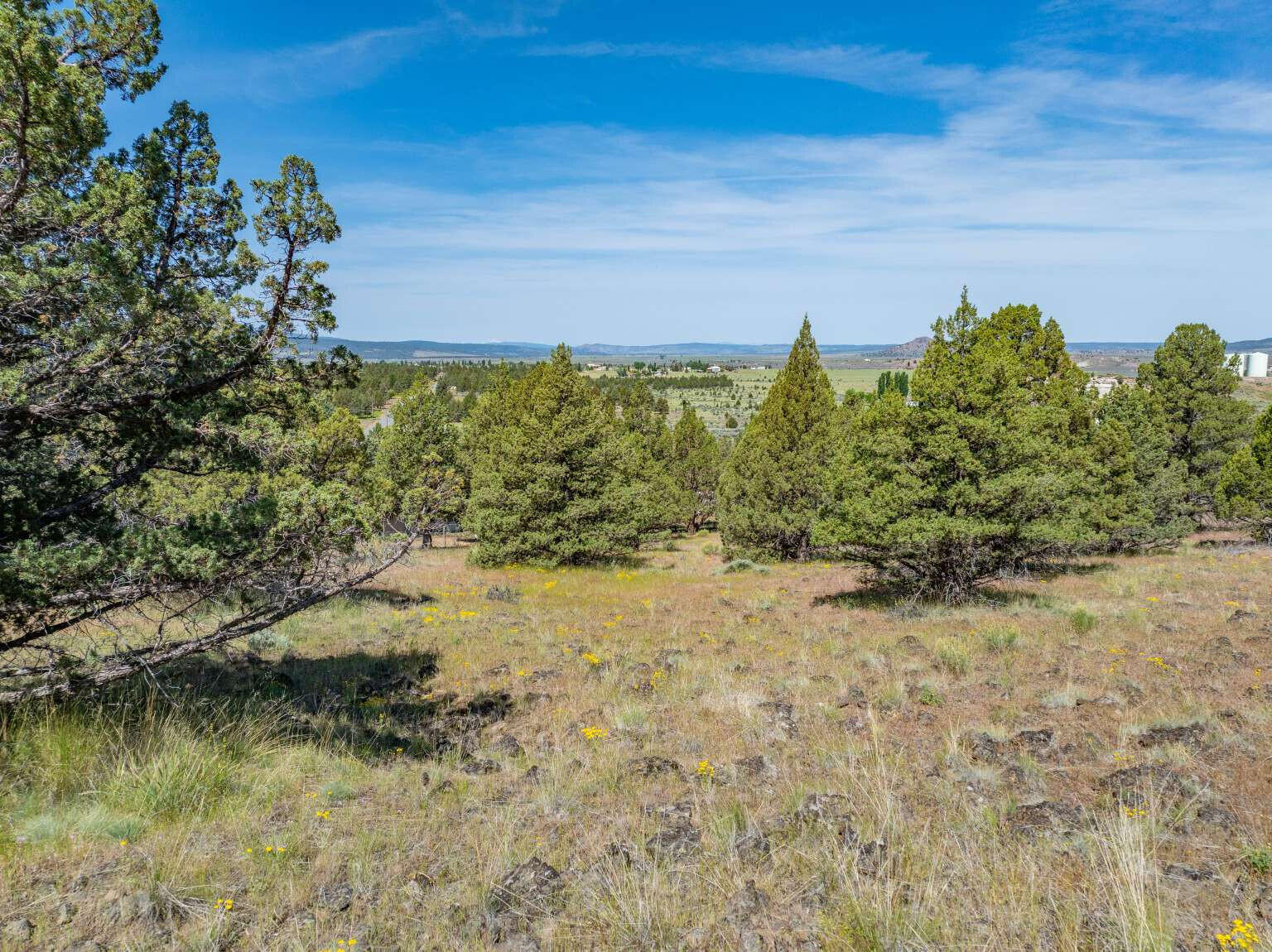 1167 Grande Road Alturas, CA 96101 - Photo 10 of 19 Dingman.10