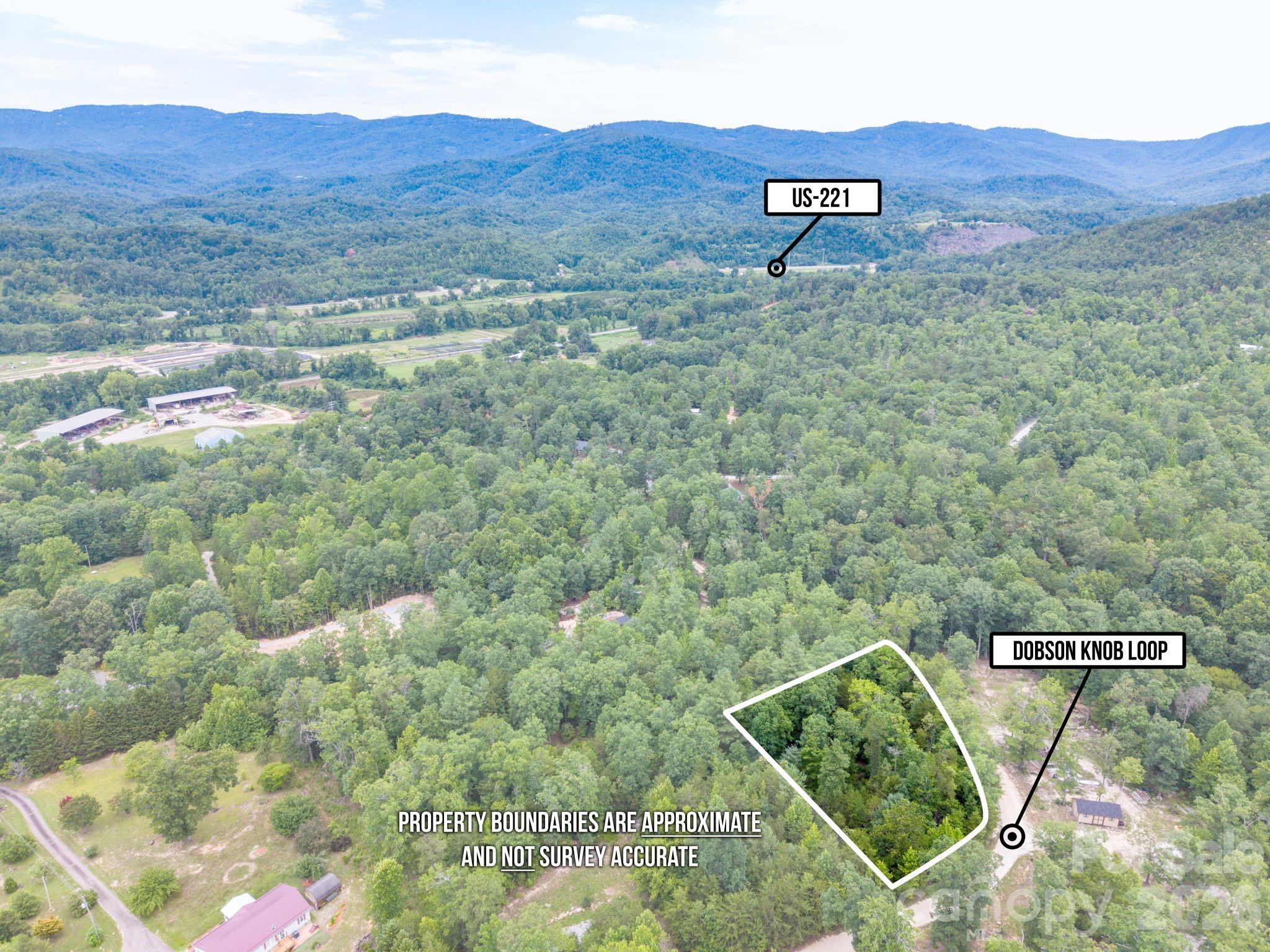 6 Dobsons Knob Loop Road Marion, NC 28752 - Photo 12 of 14