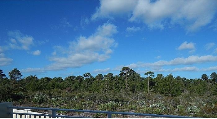 00xx 4841 panoramic for remax site