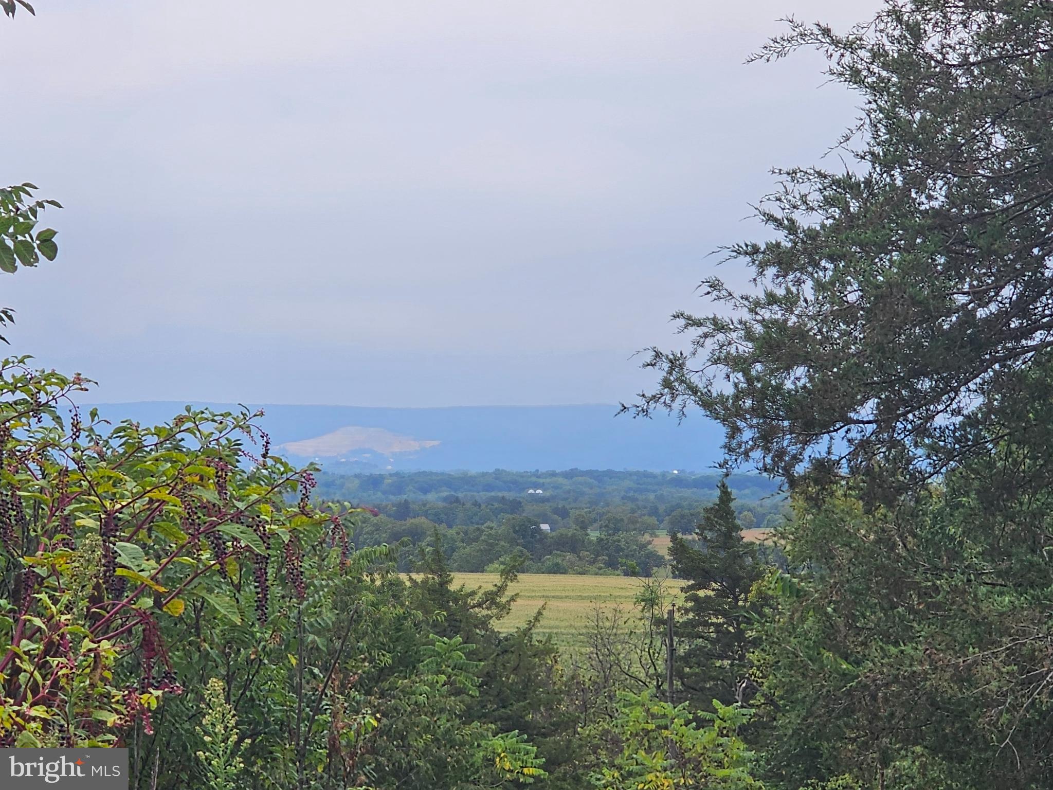 242 Campground Road Carlisle, PA 17015 - Photo 3 of 7 Serene landscape with distant mountains.