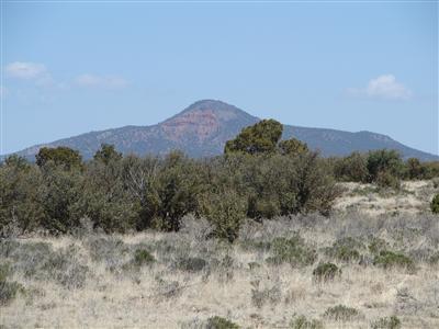 0 12 Acres South Rim Ranch Williams, AZ 86046 - Photo 2 of 4 Additional Photo