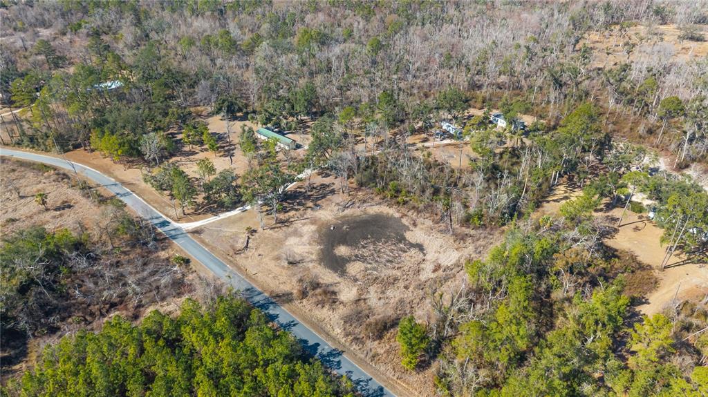 1650 Lyman Hendry Road, Unit 1 Perry, FL 32347 - Photo 24 of 30 a view of a forest with a tree