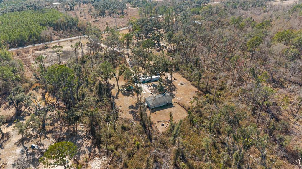 1650 Lyman Hendry Road, Unit 1 Perry, FL 32347 - Photo 27 of 30 a view of a yard with plants and trees