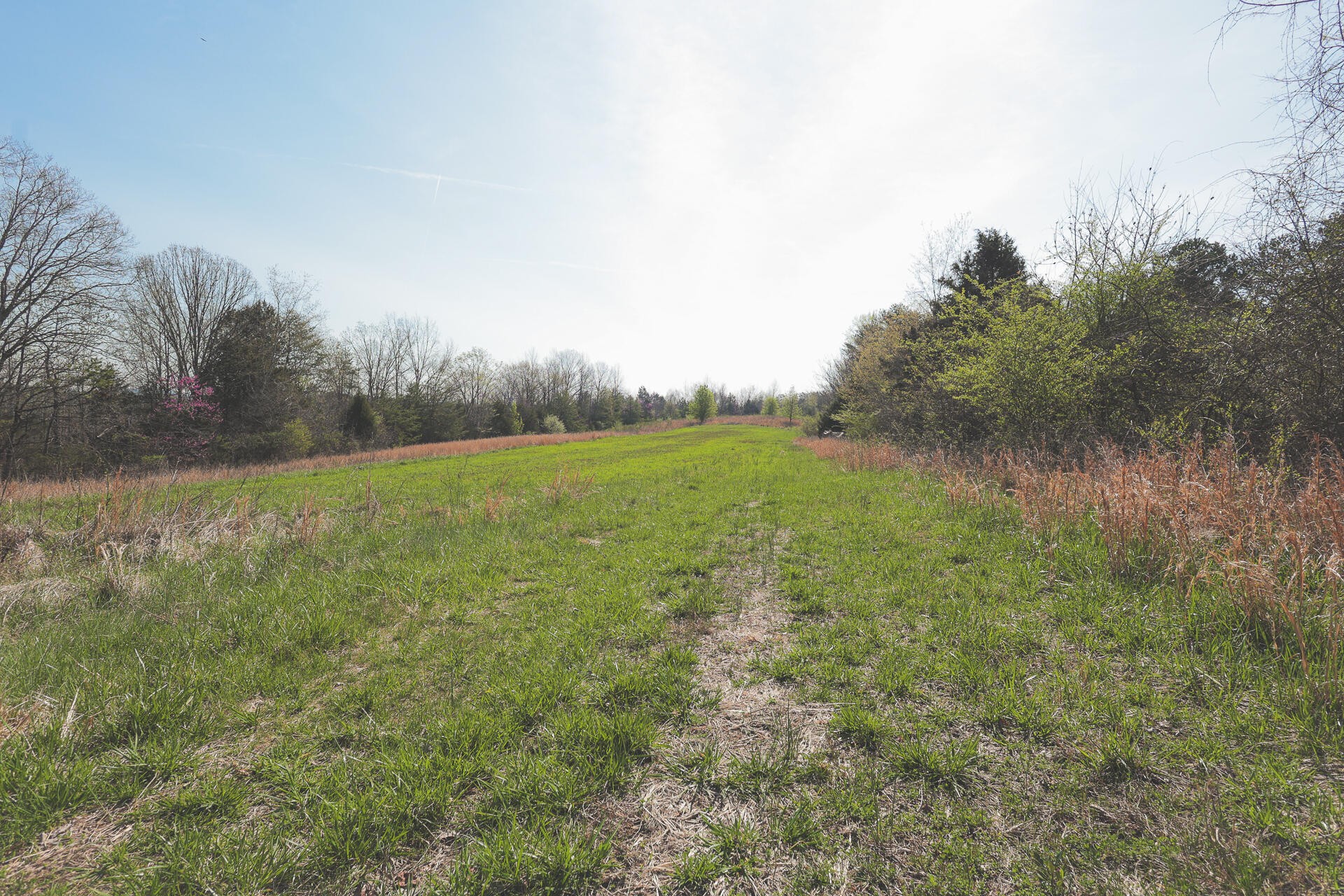 527 Dyer Hollow Road Dayton, TN 37321 - Photo 30 of 61 Gallery Image 30