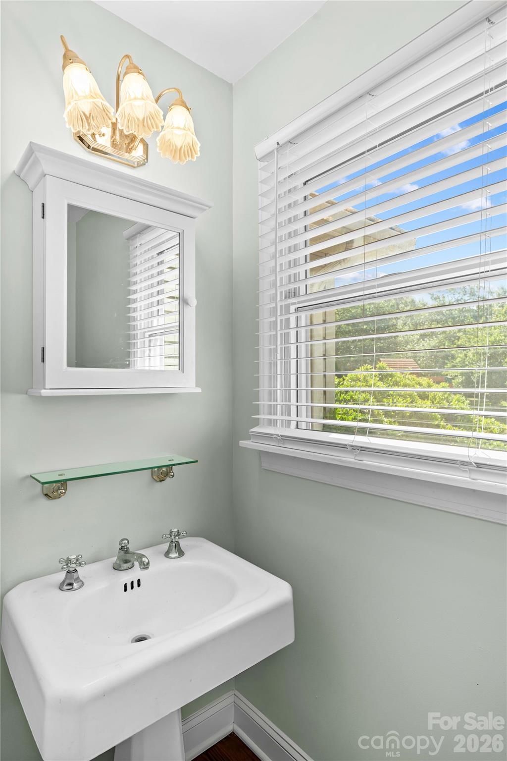 711 Spring Pointe Drive Stony Point, NC 28678 - Photo 9 of 47 a bathroom with a sink a window and a mirror