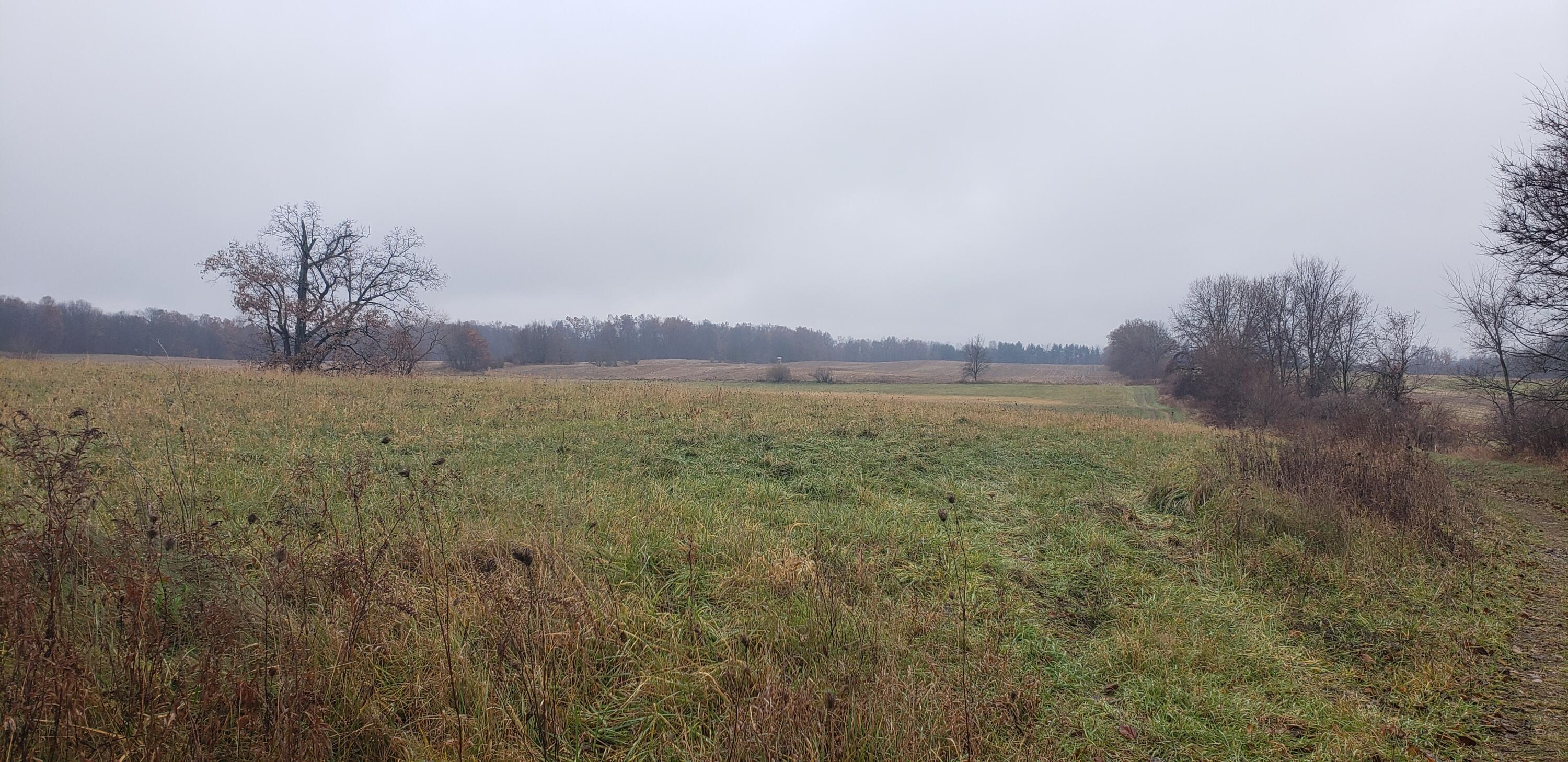 800 East Bristol Road Delton, MI 49046 - Photo 1 of 7 View from Bristol Rd looking South
