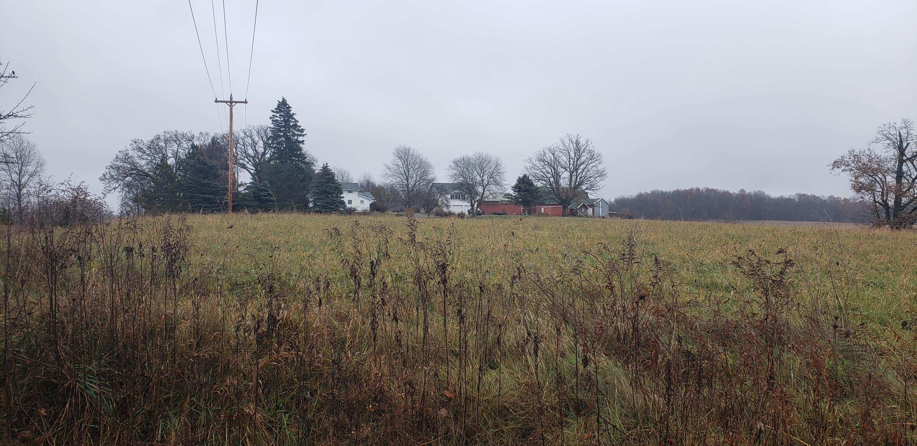 800 East Bristol Road Delton, MI 49046 - Photo 3 of 7 Portion of 270 farm land