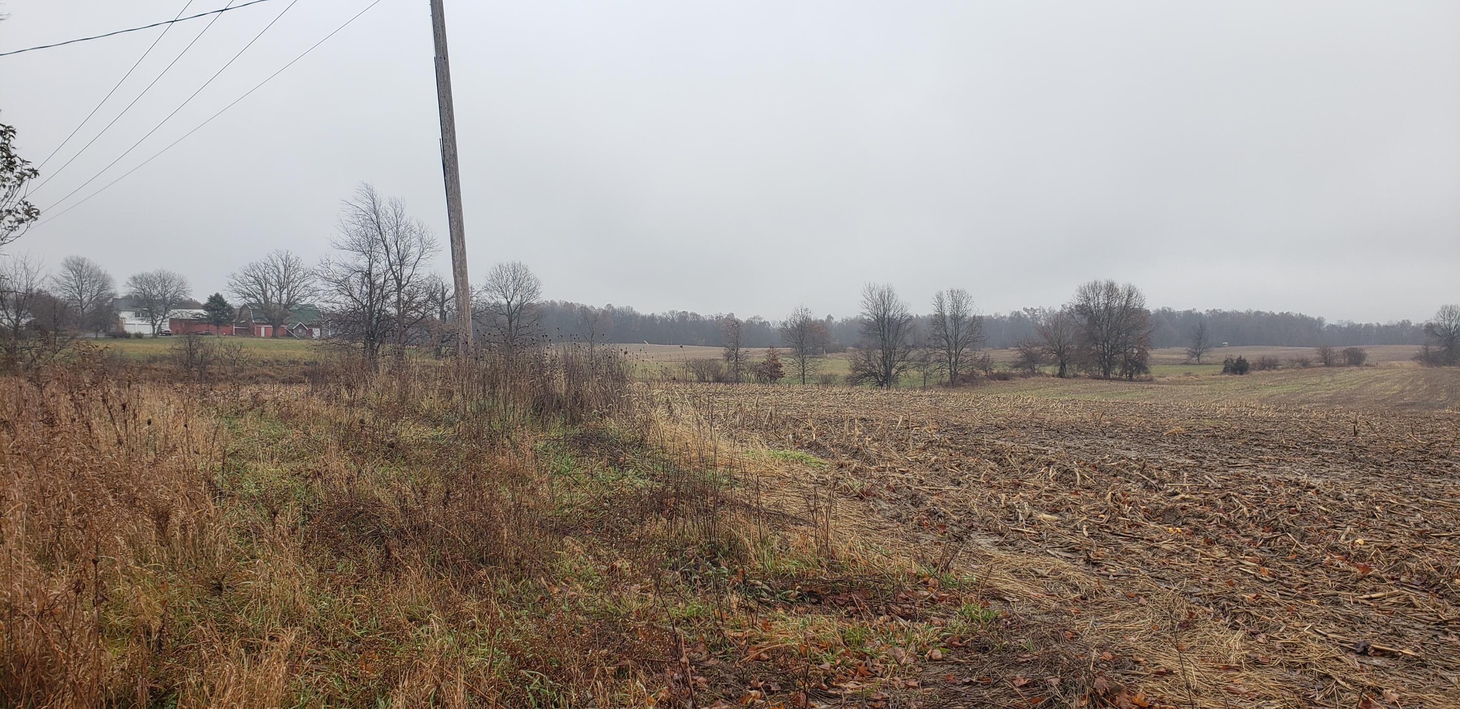 800 East Bristol Road Delton, MI 49046 - Photo 4 of 7 Portion of 270 acre farm land