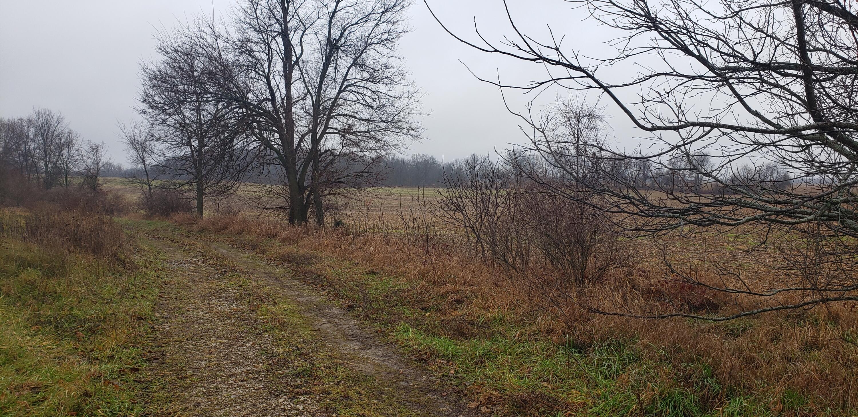 800 East Bristol Road Delton, MI 49046 - Photo 5 of 7 NW Plat Farm Land