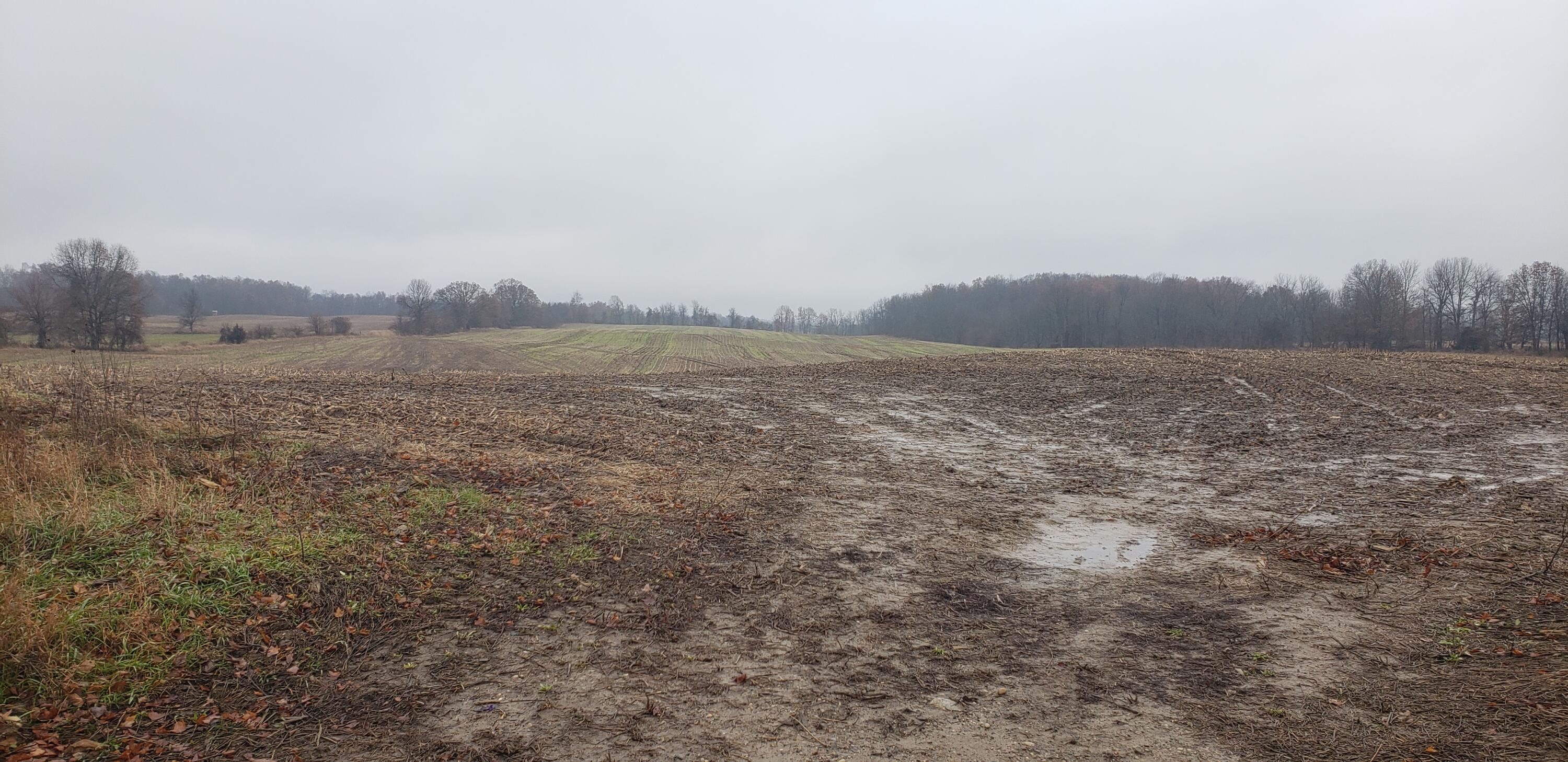 800 East Bristol Road Delton, MI 49046 - Photo 6 of 7 Tillable Land 1