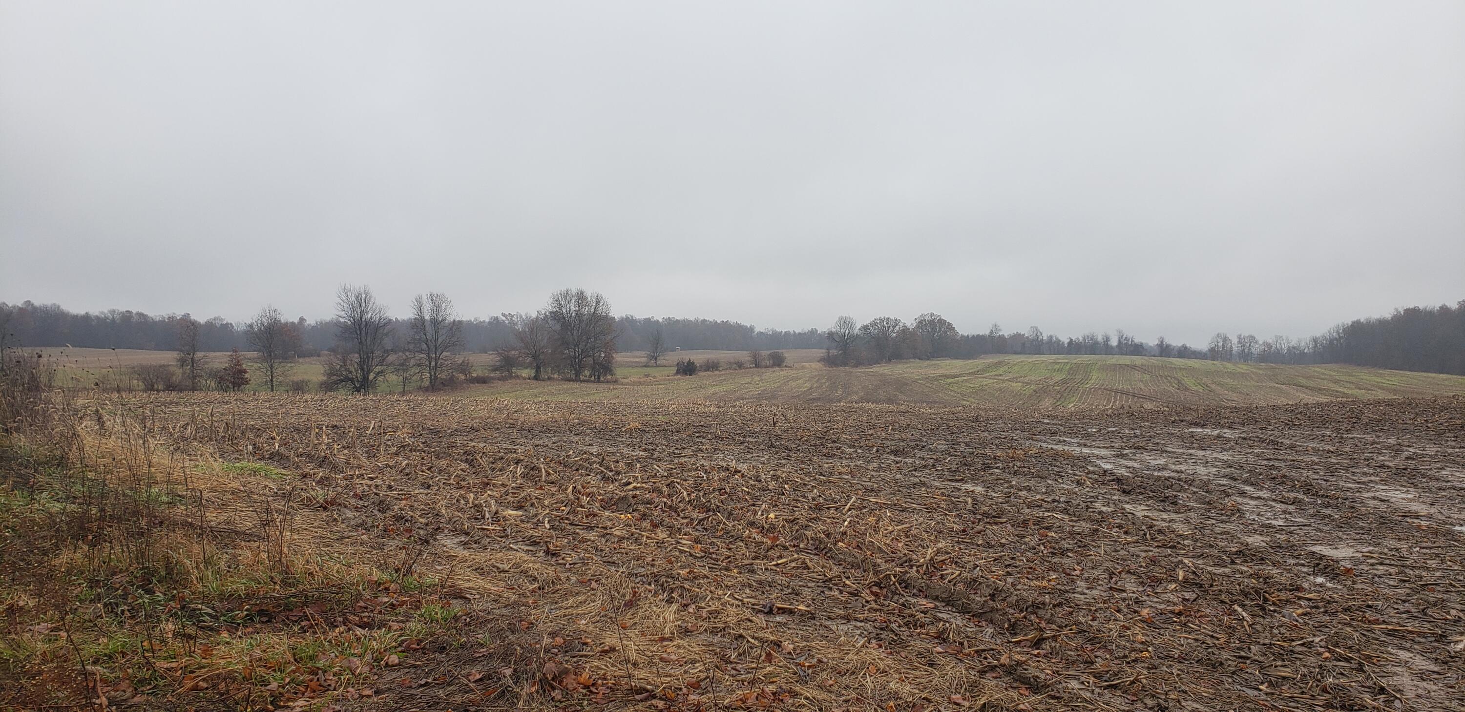 800 East Bristol Road Delton, MI 49046 - Photo 7 of 7 Tillable Land 2