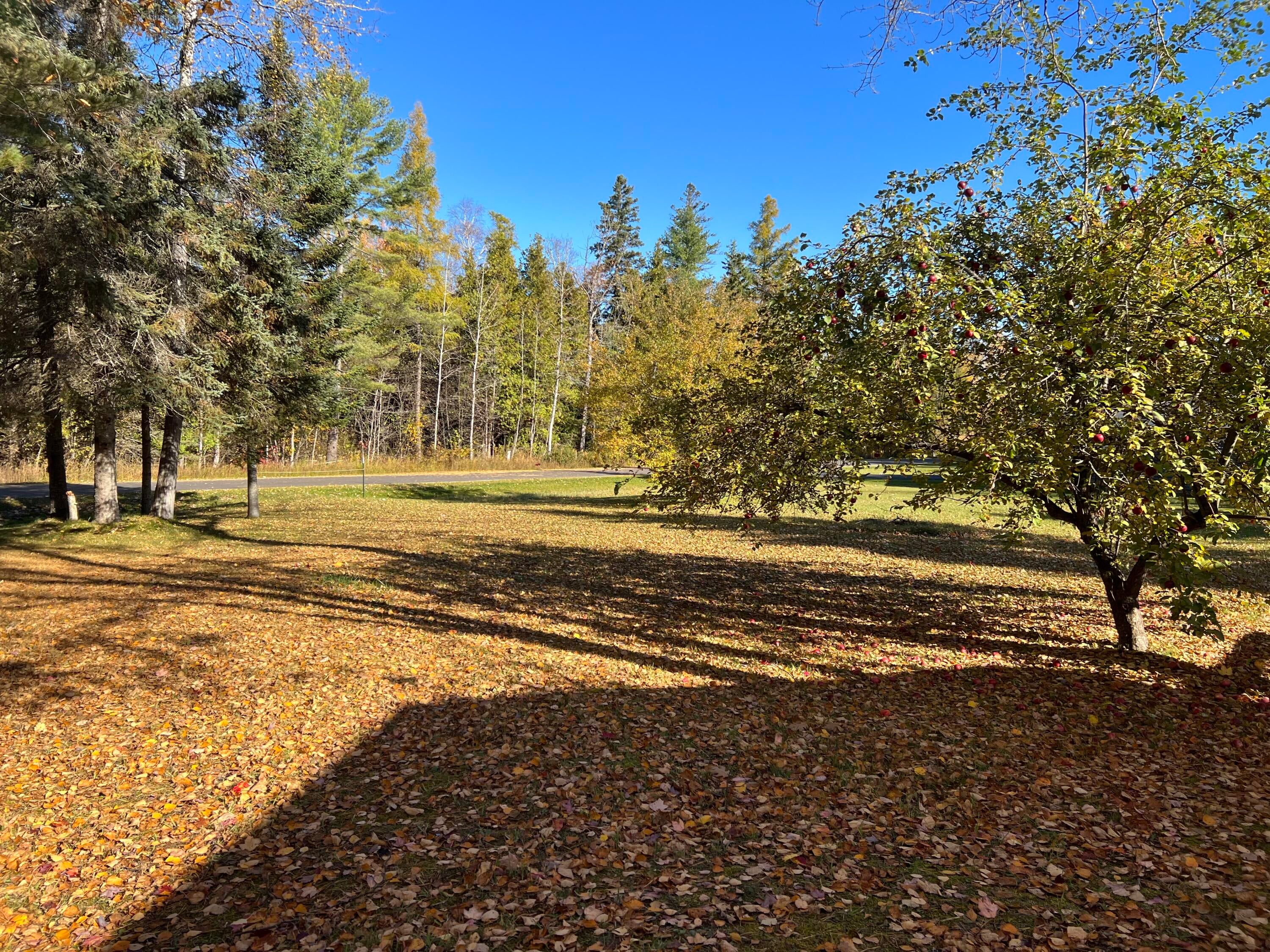 2527 Pinewood Circle Cheboygan, MI 49721 - Photo 7 of 25 Gallery Image 7