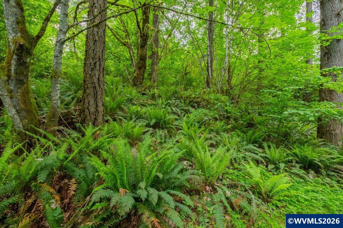 0057485 Next To 40587 Baptist Church Road Lebanon, OR 97355 - Photo 18 of 38