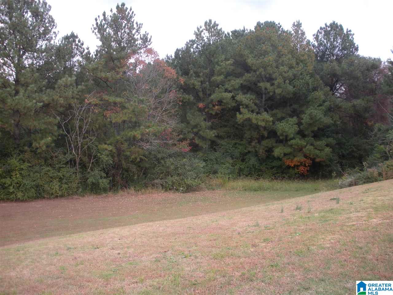7899 Alliance Short Creek Road Mulga, AL 35118 - Photo 8 of 35