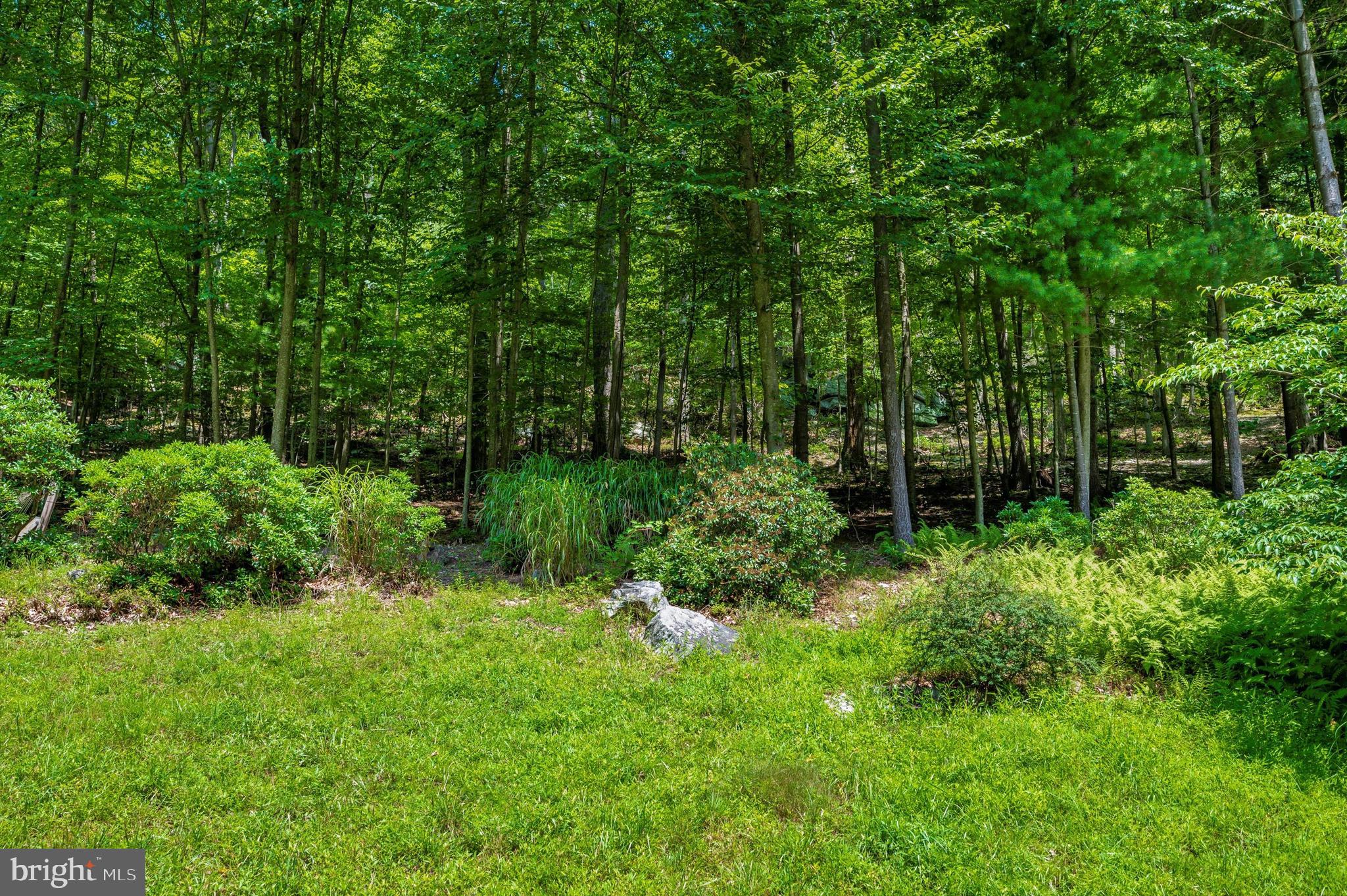 9301 Hamburg Road Frederick, MD 21702 - Photo 45 of 57 a view of backyard with green space