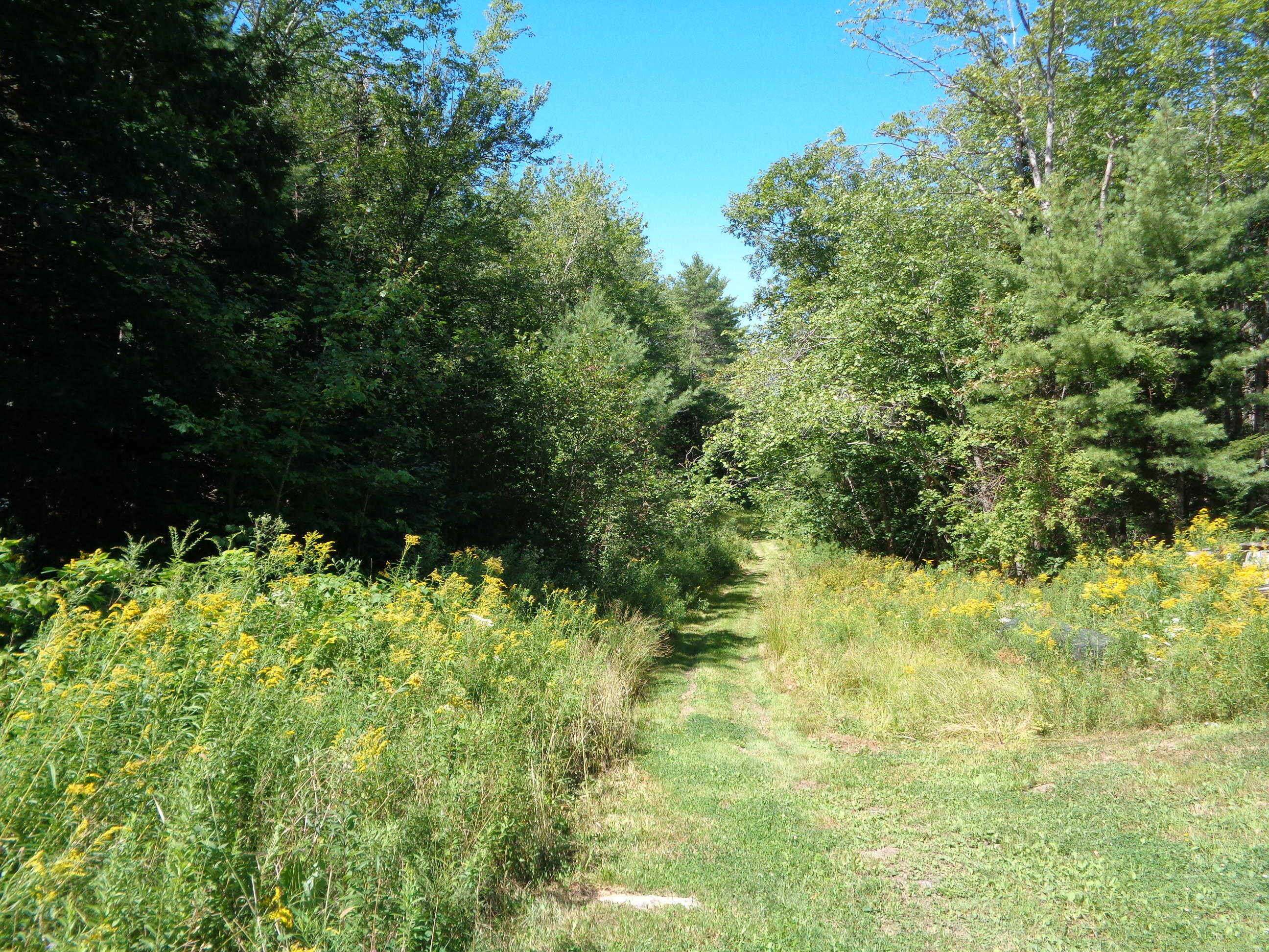 Lot 25 Ready Point Road Wiscasset, ME 04578 - Photo 7 of 8 DSC00024