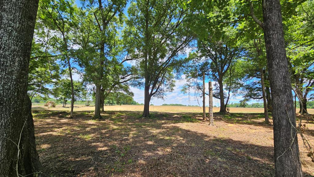 92 County Road 92 Slocomb, AL 36375 - Photo 55 of 58