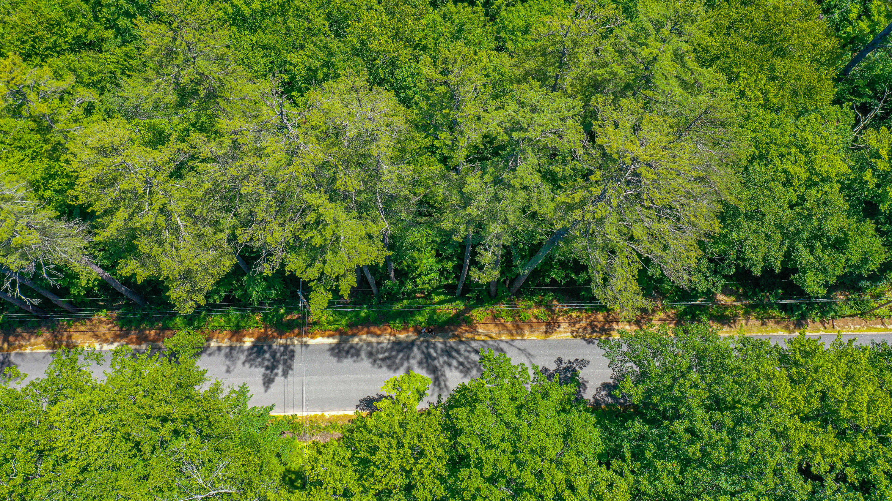 0 West Lovell Road Lovell, ME 04051 - Photo 16 of 16 Kinapic-46