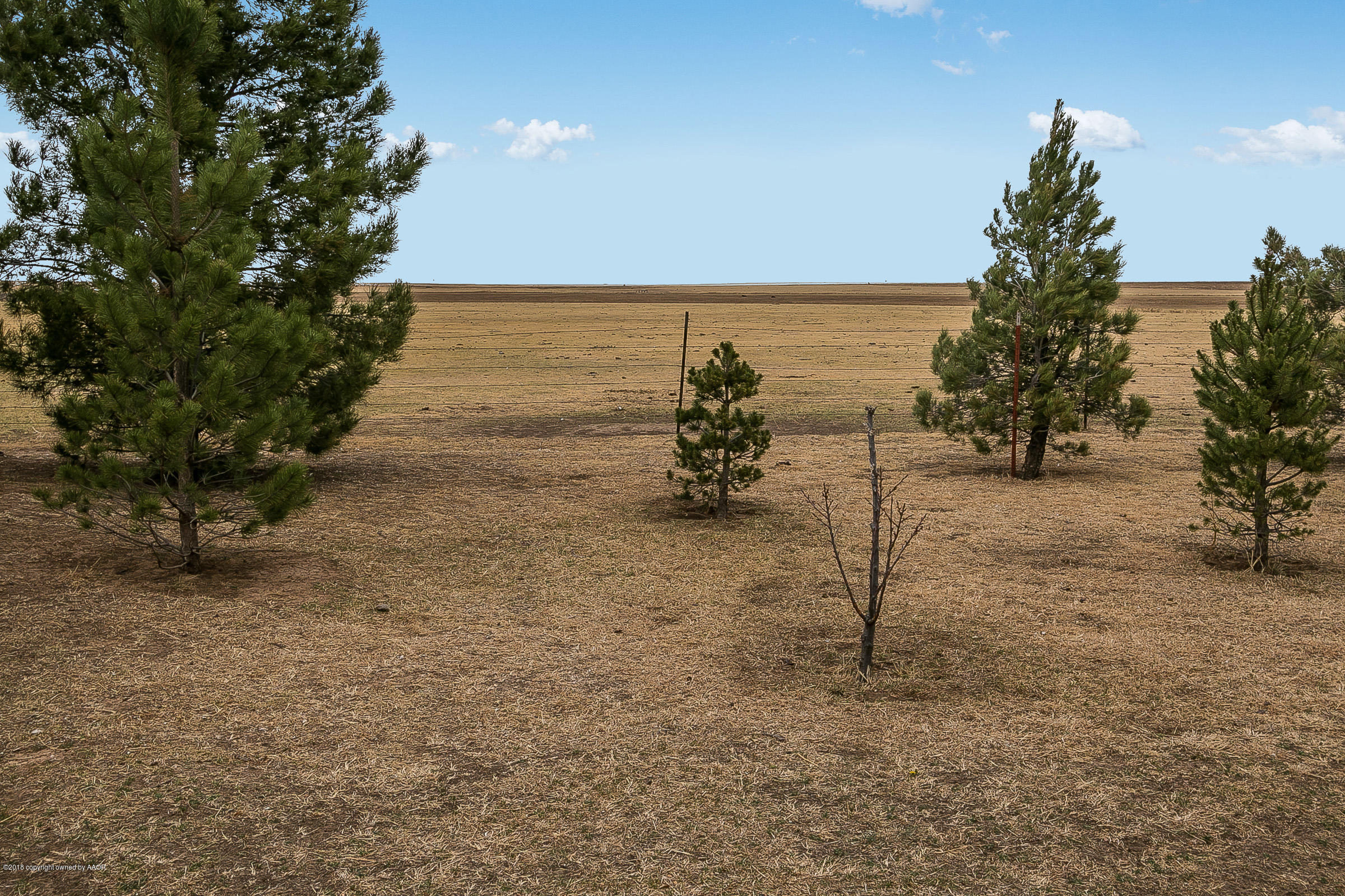 8225 Juliet Road Claude, TX 79019 - Photo 23 of 31 025_Rear Acreage