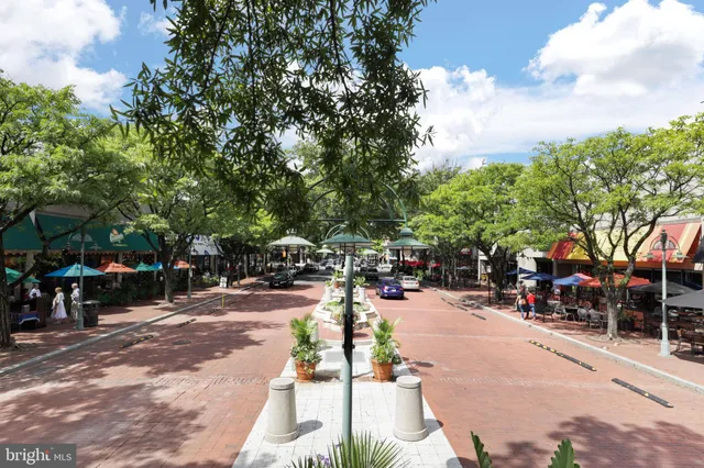 a view of a park with plants and trees