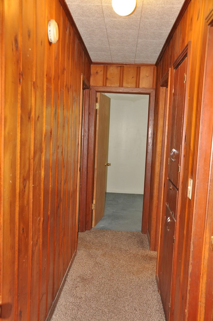 910 Holley Mill Road Samson, AL 36477 - Photo 11 of 58