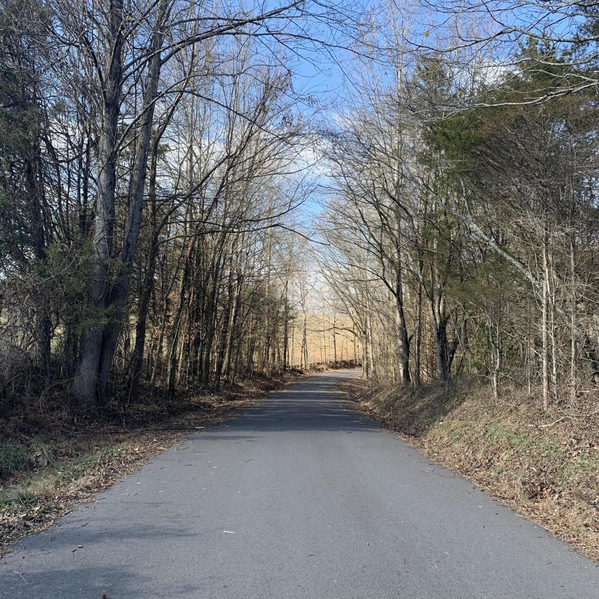 1470 Wolf Creek Road Nancy, KY 42544 - Photo 5 of 10 20200121200129708820000000-o