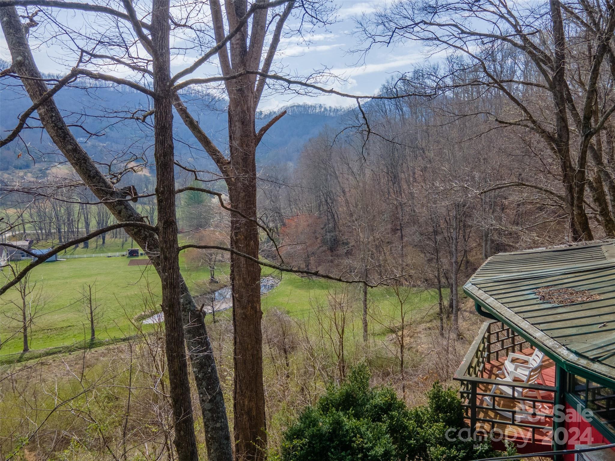 375 Tobacco Road Cullowhee, NC 28723 - Photo 2 of 37 Gallery Image 2