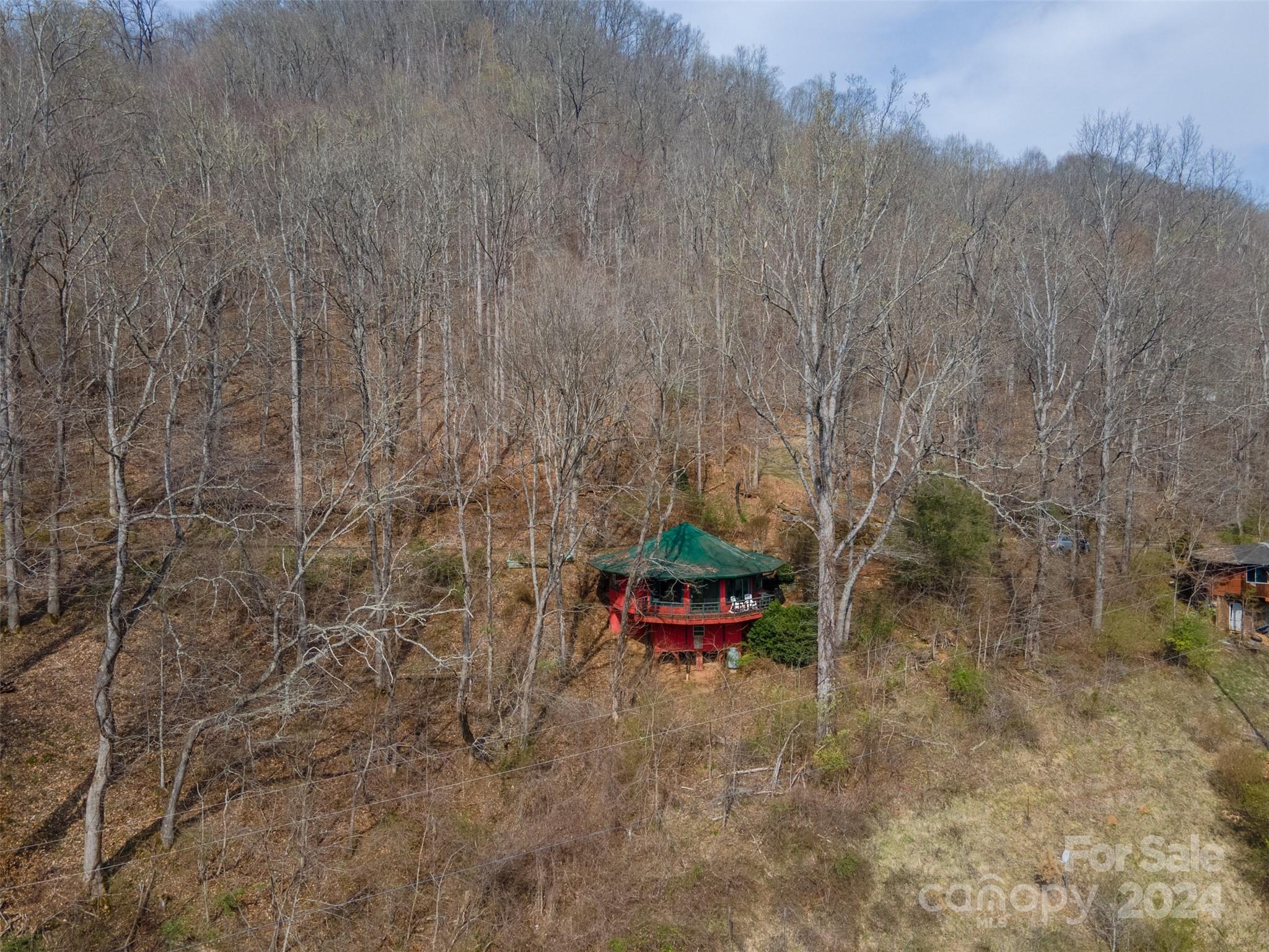 375 Tobacco Road Cullowhee, NC 28723 - Photo 29 of 37 Gallery Image 29