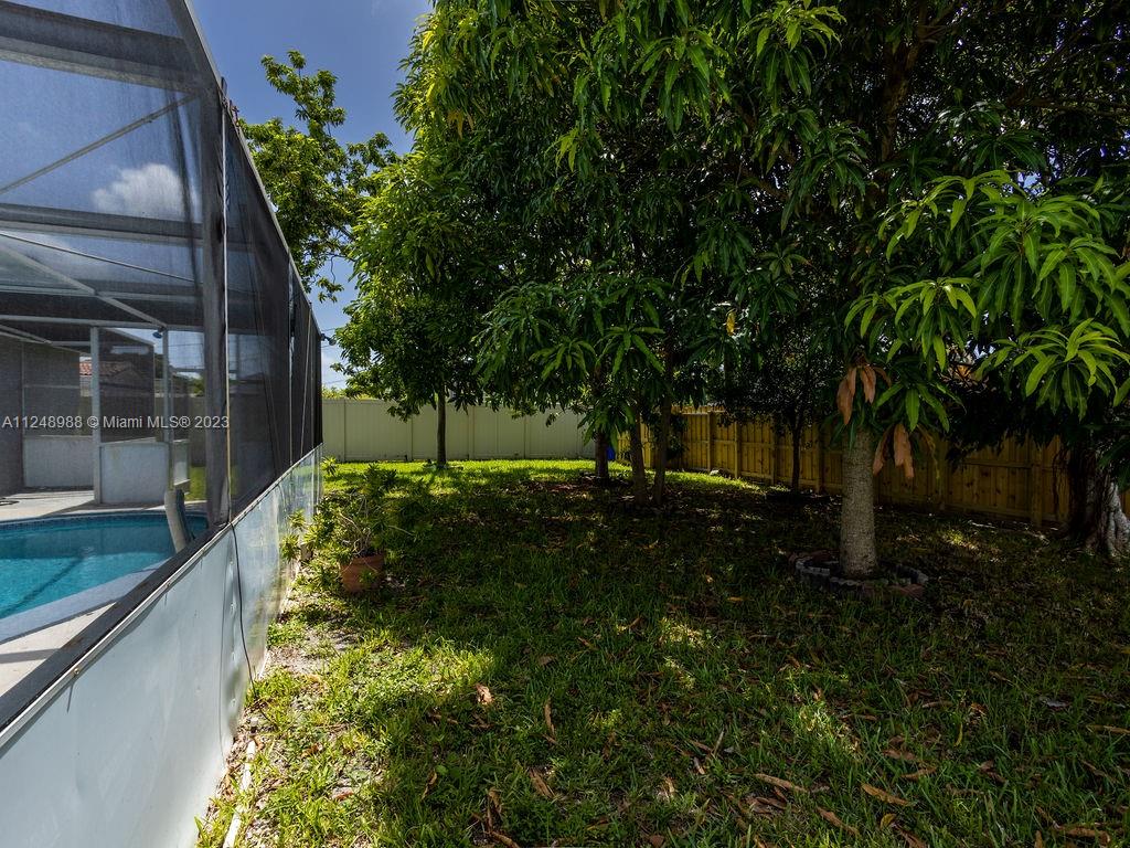 4530 Madison Street Hollywood, FL 33021 - Photo 93 of 94 a view of backyard with green space