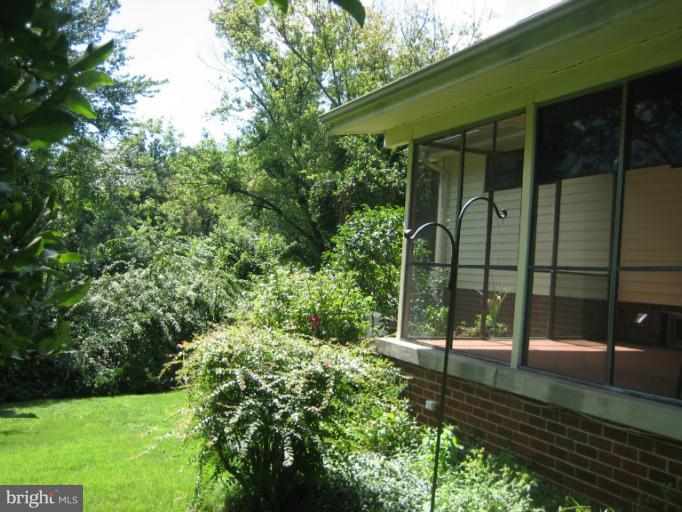 420 Sisson Court Silver Spring, MD 20902 - Photo 16 of 19 Exterior (Rear)