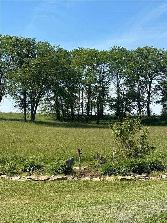 169 Northeast County Road Warrensburg, MO 64093 - Photo 7 of 30