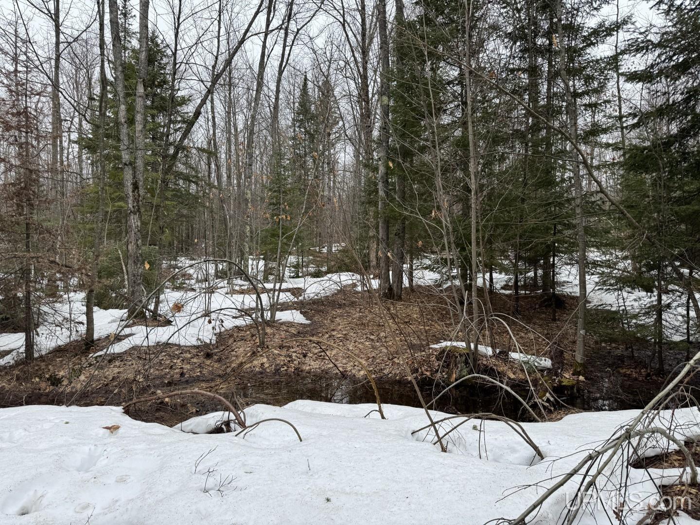 280-acres Off Pikes Peak Road Lanse, MI 49946 - Photo 14 of 21