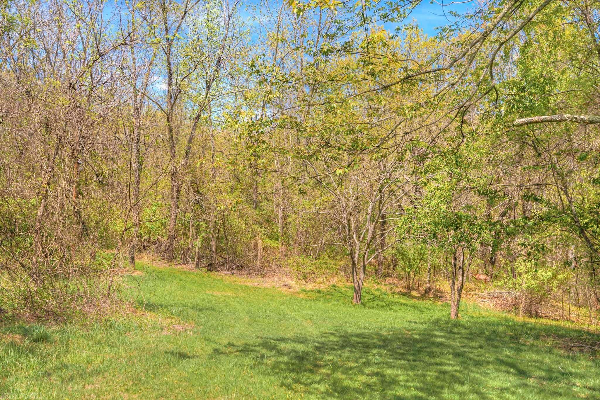 3300 Old Farm Road Blacksburg, VA 24060 - Photo 10 of 48 Gallery Image 10