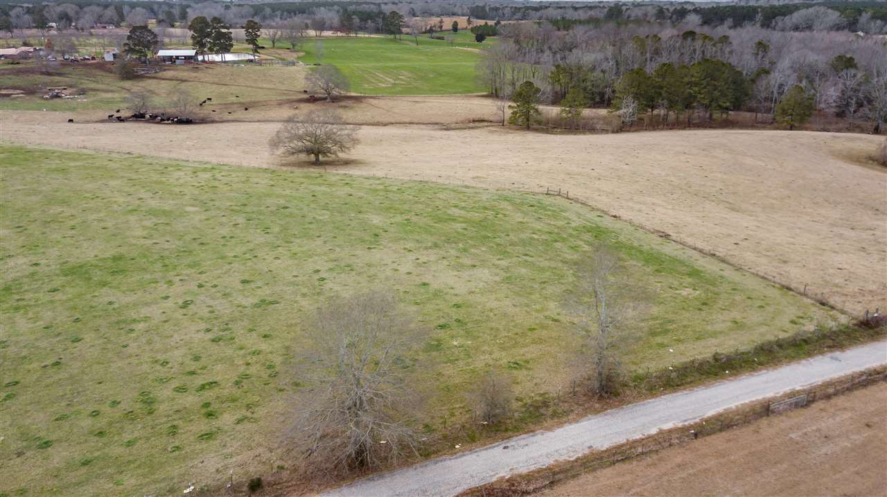 0 Kiley Bailey Road, Unit PARCEL 11 Mendenhall, MS 39114 - Photo 11 of 26 Photo 11