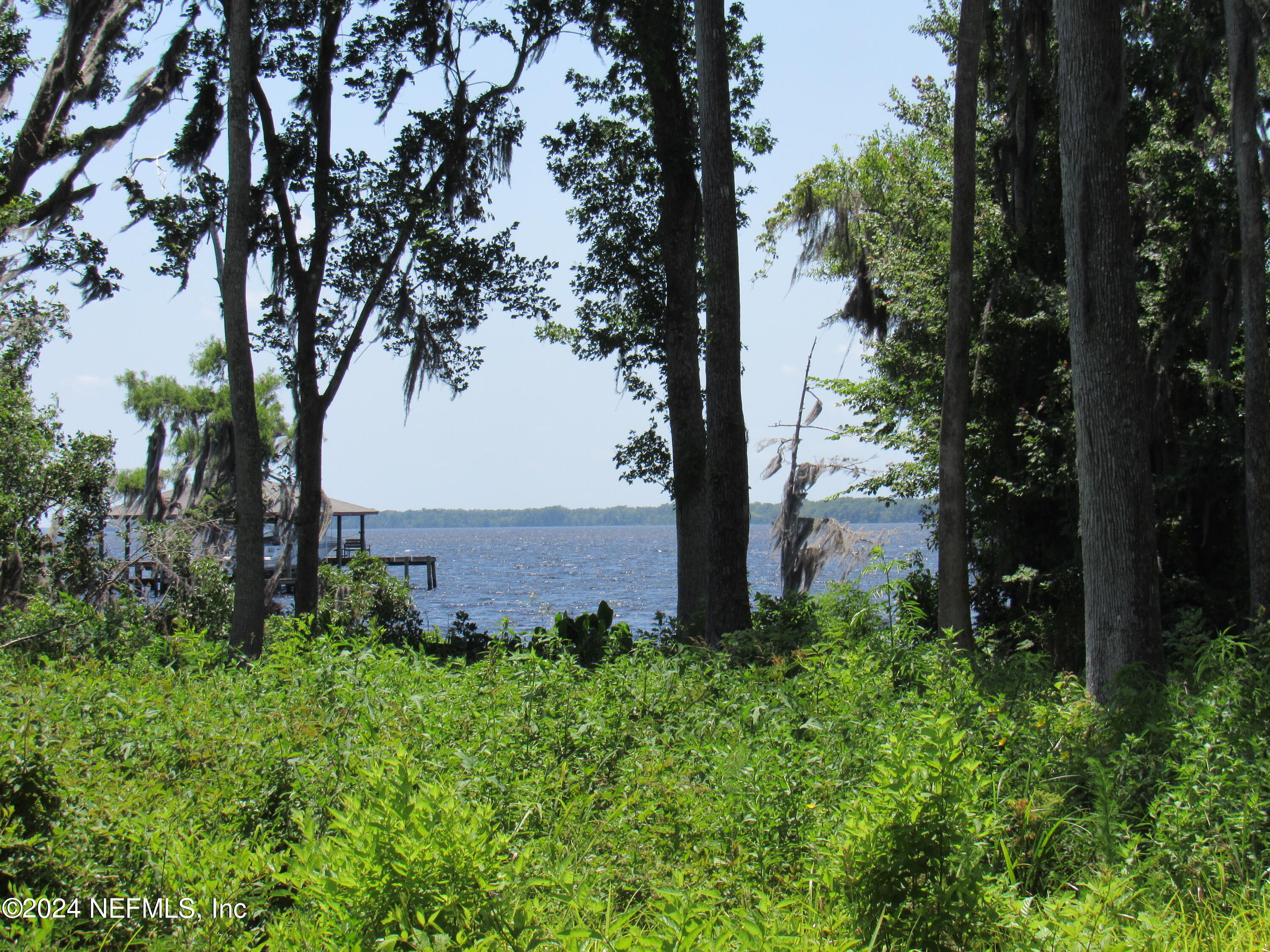 0 State Road 13 St. Augustine, FL 32092 - Photo 11 of 36 a view of a garden with large trees