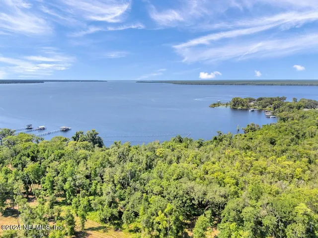 a view of a bunch of trees